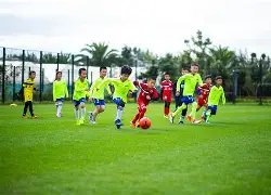 凯尔特人,击败篮网,波尔津吉斯,世界杯比分,2026世界杯,比分直播,赛事分析,实时更新